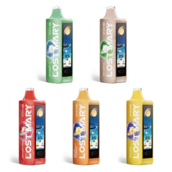 Lost Mary MO20000 Pro Disposable
